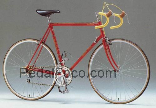 Fuji Valite ficha tecnica